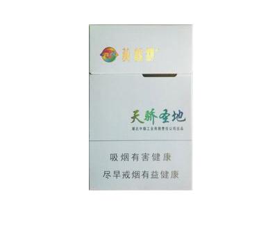 壁挂炉的外烟筒
